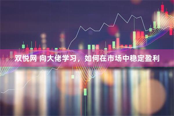 双悦网 向大佬学习，如何在市场中稳定盈利