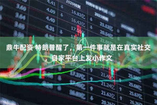 鼎牛配资 特朗普醒了，第一件事就是在真实社交，自家平台上发小作文