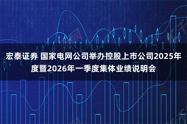 宏泰证券 国家电网公司举办控股上市公司2025年度暨2026年一季度集体业绩说明会
