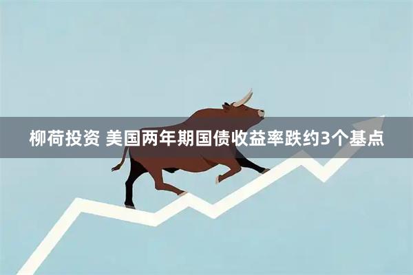柳荷投资 美国两年期国债收益率跌约3个基点